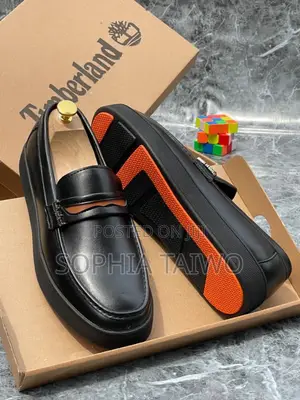 Shiny Men Timberland Shoe