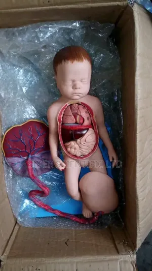 Baby With Paracentral