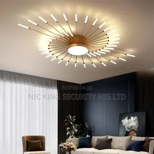 Ceiling Light