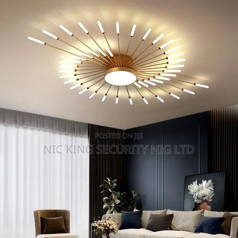 Ceiling Light