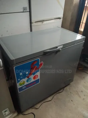 Deep Freezer for Block or Home Use