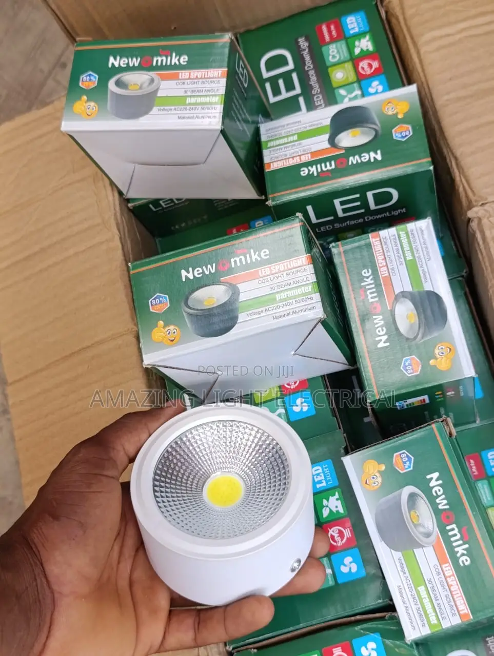 Pendant Ducking Light