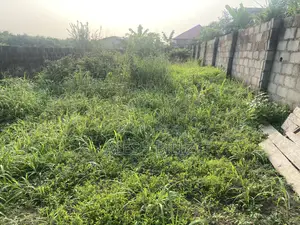 Half Plot Ikola Eleyin
