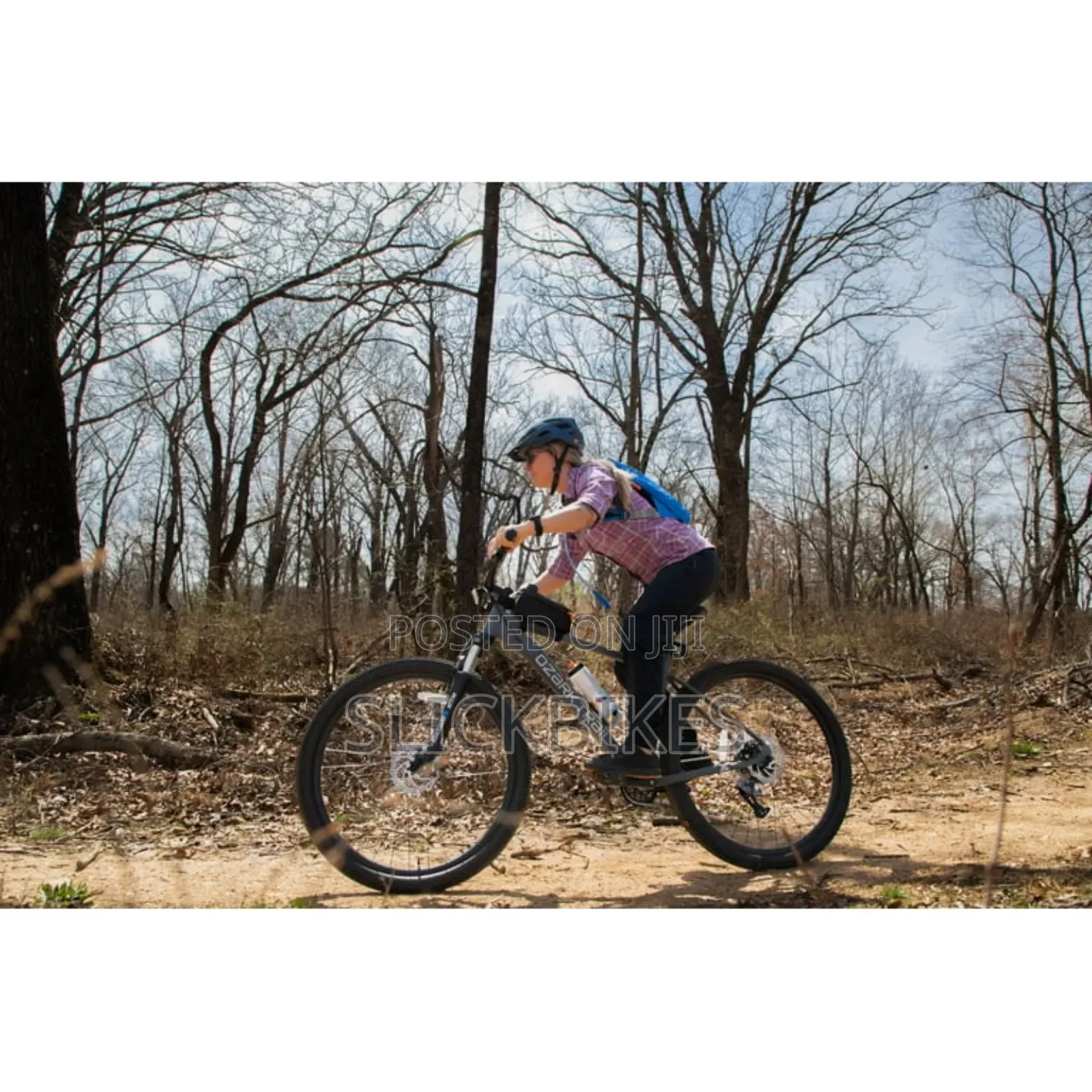 29" Ozark Trail Ridge Mountain Bike