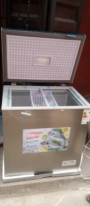 Snowsea Deep Freezer, Anti-Rust Body, Low Voltage