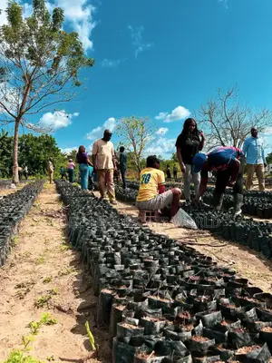 High ROI Agro Real Estate Investment | Farmland for Sale Nigeria