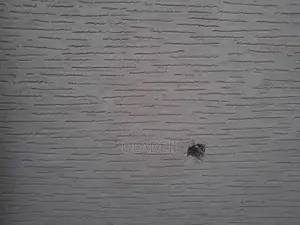 Painting and Decorating