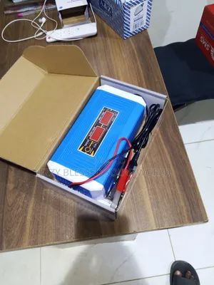 20a 12/24v Auto Battery Charger