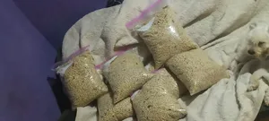 Mixed Dog Noodles Indomie