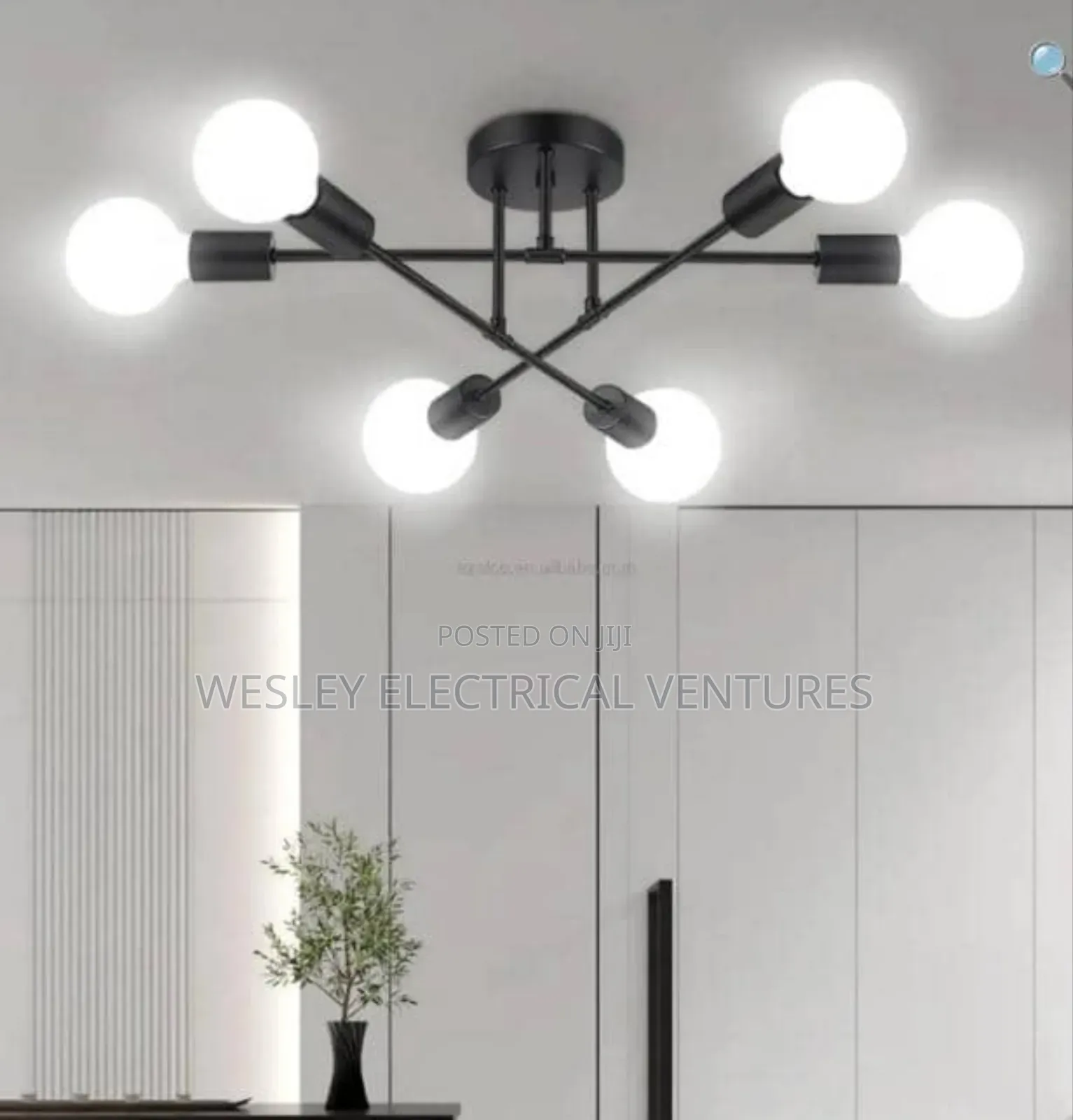 Palor Chandelier Light