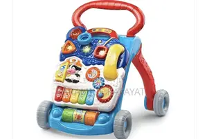 Vtech Sit to Stand Learning Walker