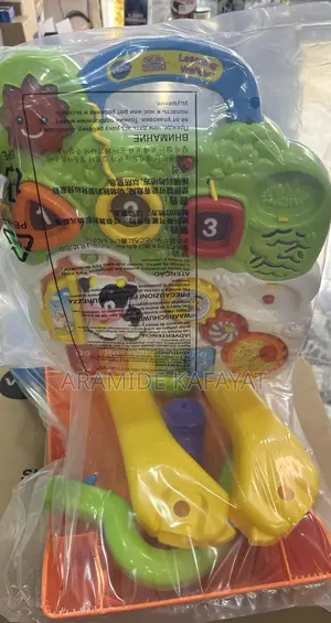 Vtech Sit to Stand Learning Walker