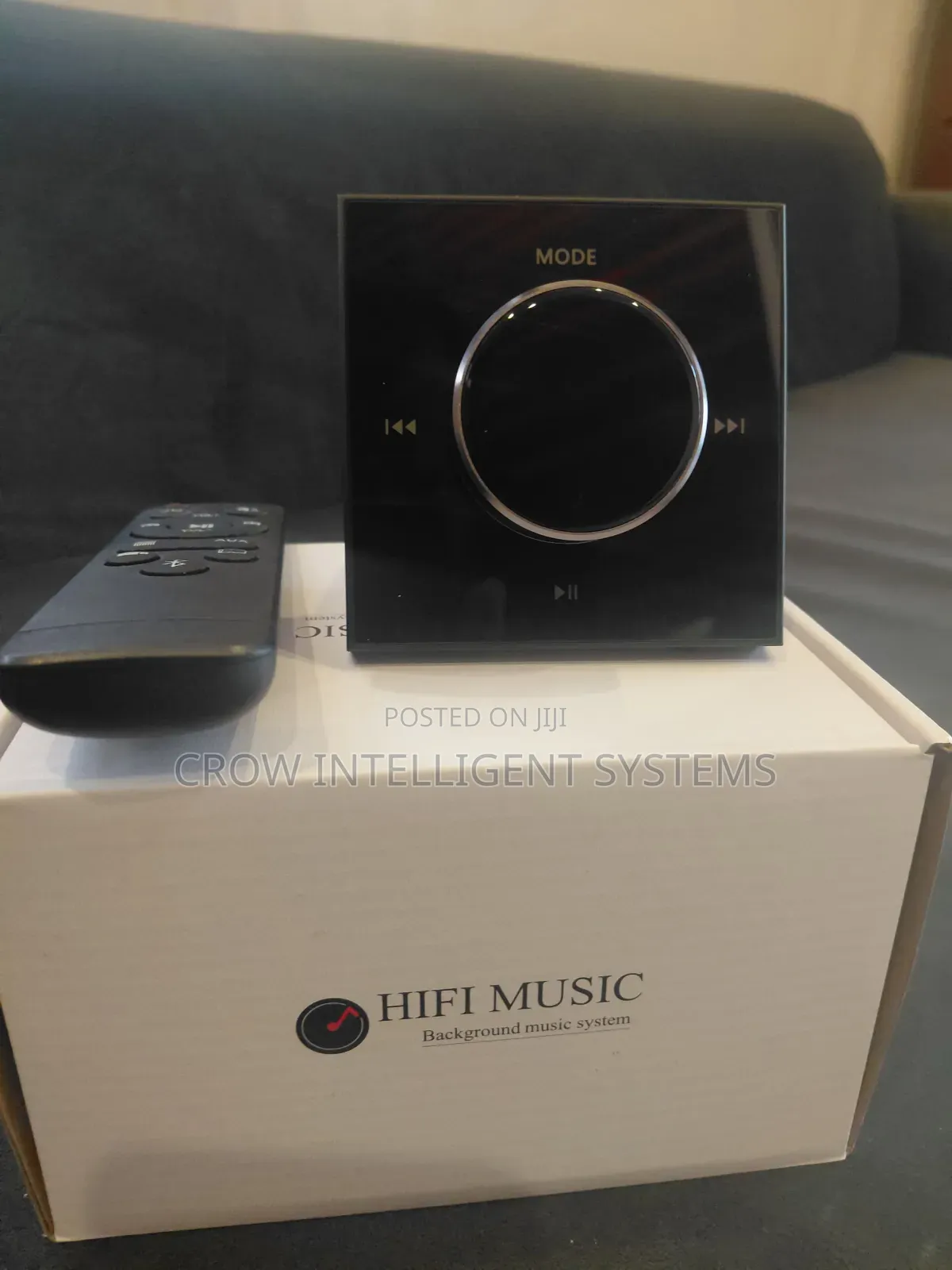 Sleek Wall Amplifier