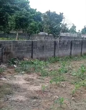 For Sale At Dape/Lifecamp. Plot 305 Size: 1,208.60sqm Title: Cofo