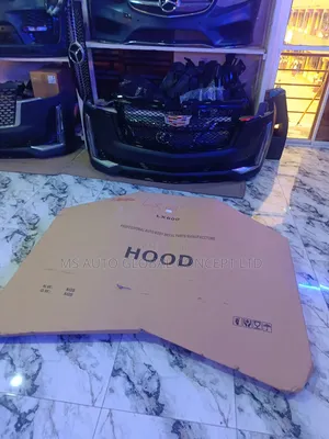 Lexus Lx600 Bonnet