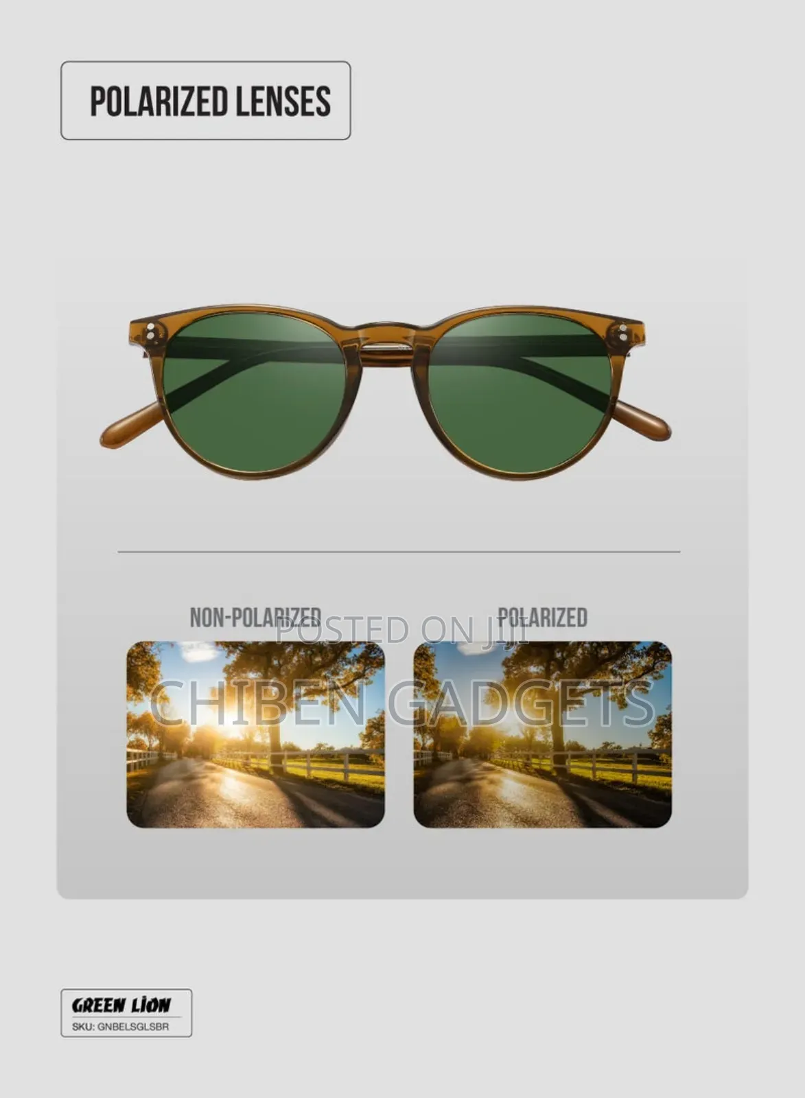 Green Lion Sunglasses ( Bellavia)