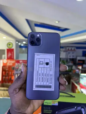 Apple iPhone 11 Pro Max 64 GB Gray
