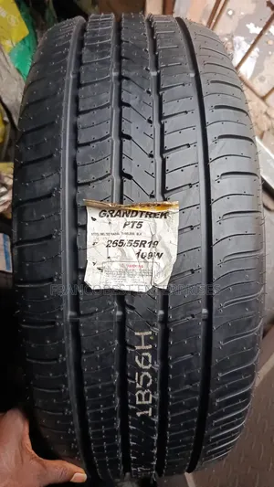 265/55r19 Dunlop Tire