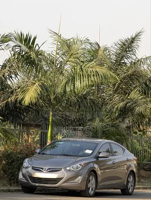 Hyundai Elantra 2016 Brown