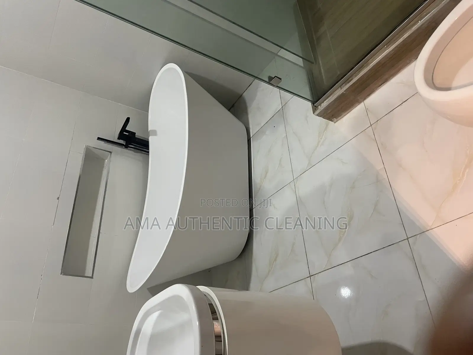 Professional Cleaning Services