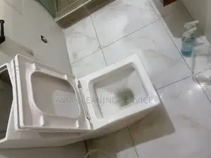 Professional Cleaning Services
