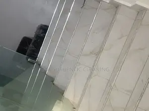 Professional Cleaning Services
