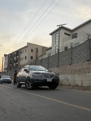 Lexus RX 350 2010 Gray