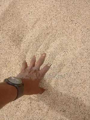 Sesame Seed,Raw and Clean
