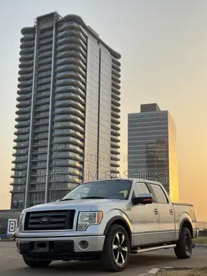 Ford F-150 2009 Silver
