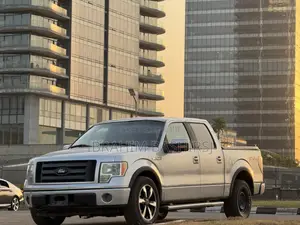 Ford F-150 2009 Silver