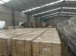 Scaffold Materials