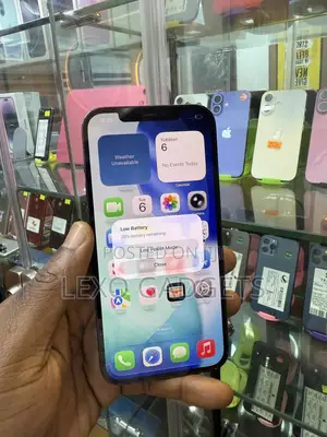 Apple iPhone 12 Pro Max 256 GB Blue