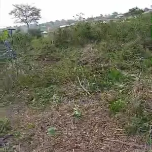 A Plot of Land Available for Sale