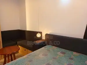 Furnished Studio Apartment in Garki 2 for rent