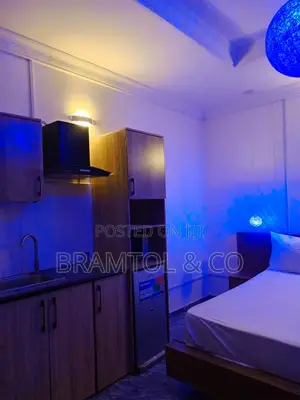 Furnished Studio Apartment in Garki 2 for rent