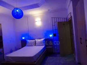 Furnished Studio Apartment in Garki 2 for rent