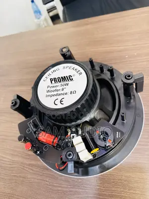 Promic 50watts Ceiling Speakers