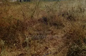 1.90 Hectares Residential Land for Sale in Kyami