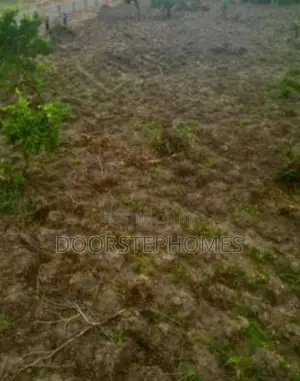 1.24 Hectares Mixed-Used Land for Sale in Kyami