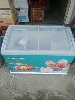 Snowsea Ice Cream Chast Deep Freezer