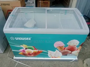 Snowsea Ice Cream Chast Deep Freezer