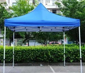 Bench Pool and Canopy Blue Color.