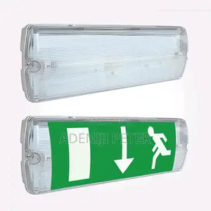 Eterna Non-Maintained Emergency Bulkhead Light