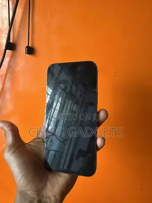 Apple iPhone 13 Pro Max 256 GB Gray