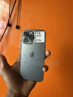 Apple iPhone 13 Pro Max 256 GB Gray