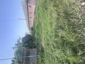 3 Plot of Land to Sell