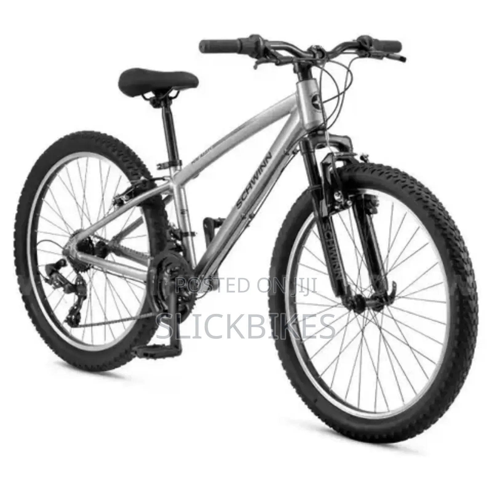 Schwinn Ranger 24" Mountain Bike - Silver