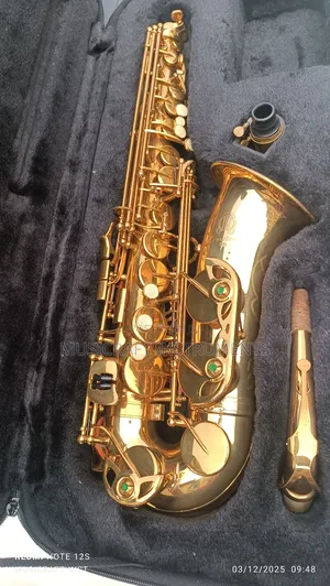 Tokunbo Armstrong Usa Alto Saxophone