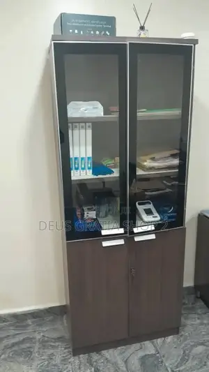 Wooden Bookshelf 2 Doors