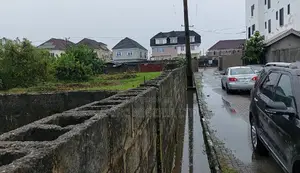 Mixed Use Land With Cofo For Sale In Ajah